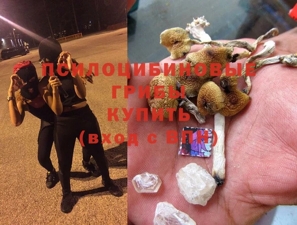 стаф Чердынь